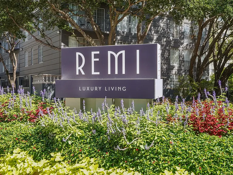 Remi — Photo 27