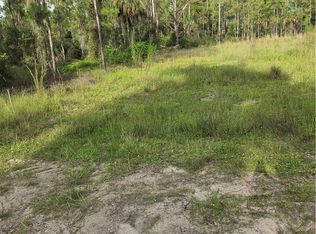 2310 Truman Ave, Alva, FL 33920