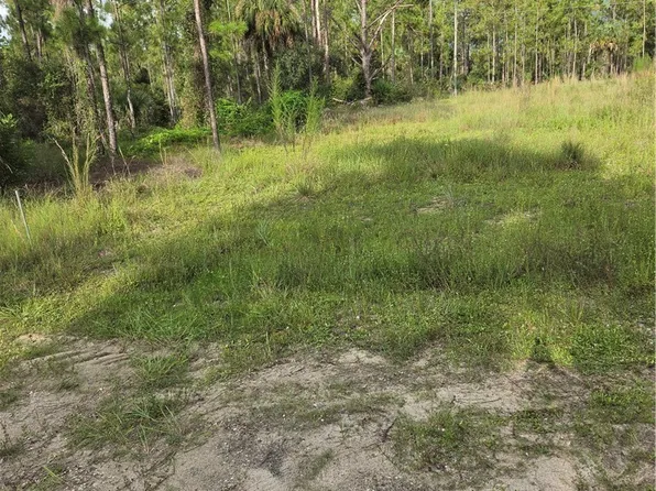 2310 Truman Ave, Alva, FL 33920