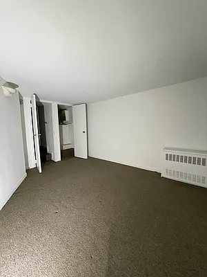 Rented by Voro NYC | media 11