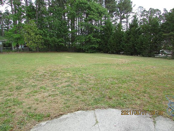 BACK YARD2