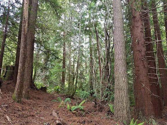 2nd image of 17500 Redwood Springs Dr