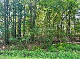 2047 N Park Ln, Rock Creek, OH 44084