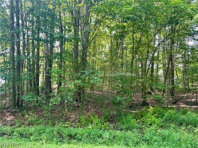 2047 N Park Ln, Rock Creek, OH, 44084