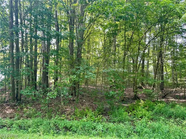 2047 N Park Ln, Rock Creek, OH 44084