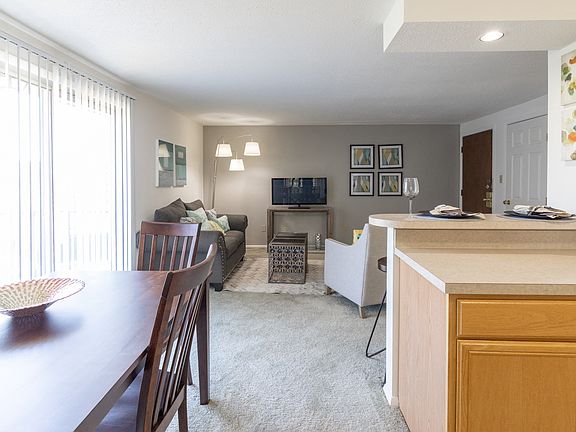 1 Bedroom 1 Bathroom Living Room at Ashmore Trace Apartment