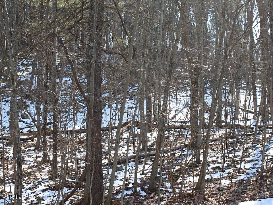 1st image of Deer Path