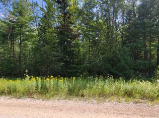 10597 Avenue Du Chalet, Wolverine, MI 49799