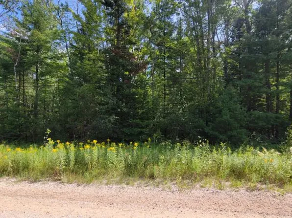 10597 Avenue Du Chalet, Wolverine, MI 49799