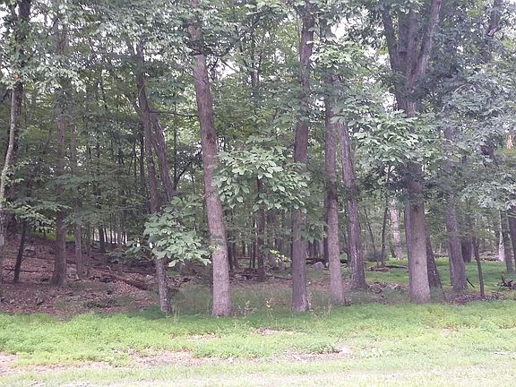 2nd image of 118 Broadmoor Dr