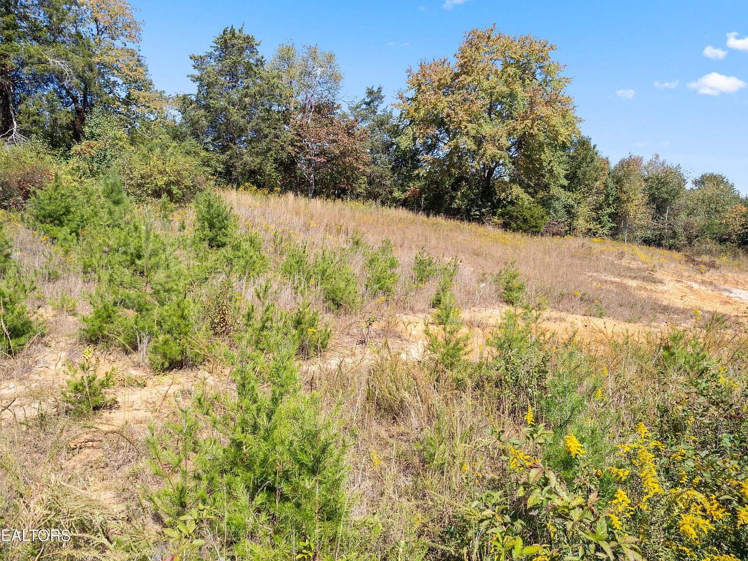 4329 McKamey Rd, Knoxville, TN 37921 Zillow