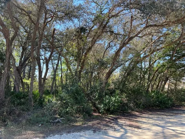 7243 Willoughby Dr #8, Webster, FL 33597