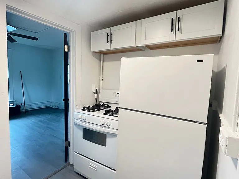 319 Franklin Ave — Photo 22