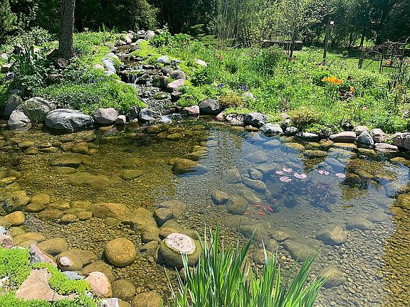 easy care recirculating pond