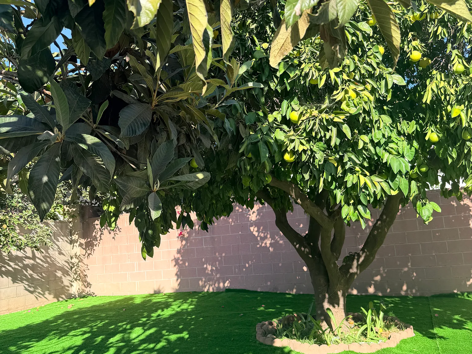 Rockland Ave, Los Angeles — Photo 3