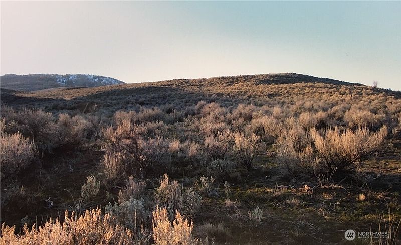 3rd image of 338 Palmer Mountain Road