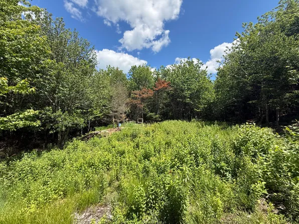 Lot 27 Lively Brook Acres, Whiting, ME 04691