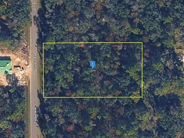 10230 Turpin Ave, Hastings, FL 32145