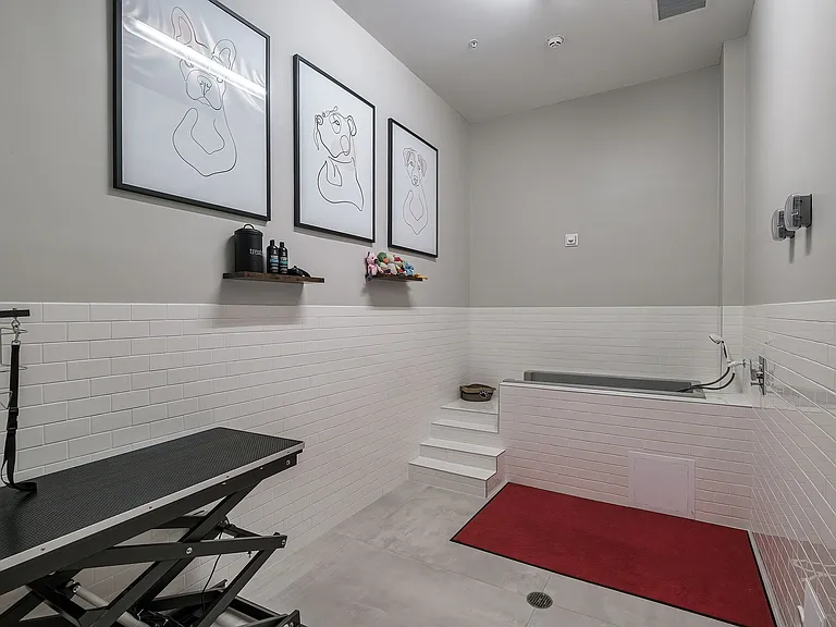 Dog Spa