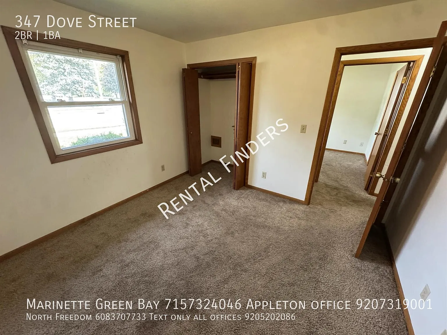 347 Dove St — Photo 3