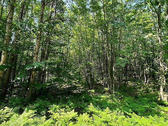 5th image of LOT 60 Bramblewood Dr