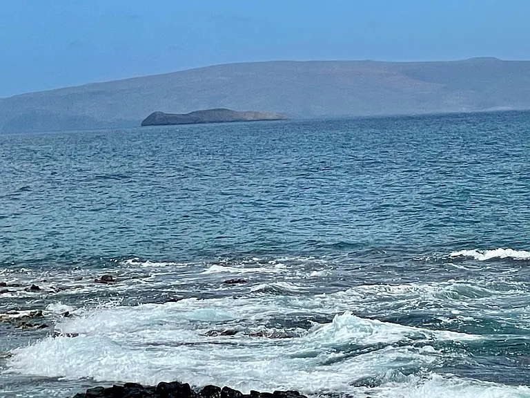 Window View