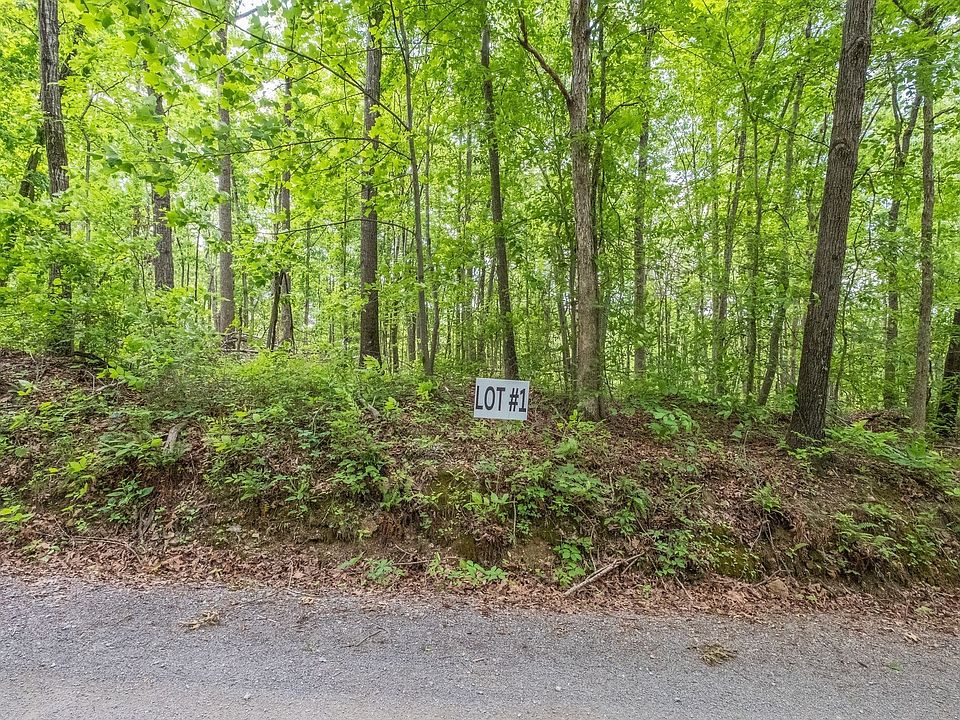 2nd image of 8649 Hoskins Hollow Rd Lot 1