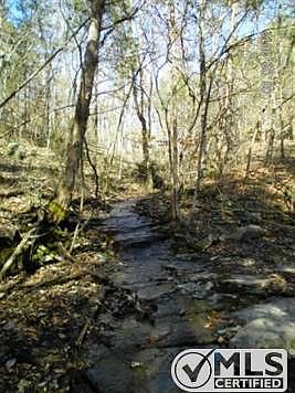 Creek below Waterfall