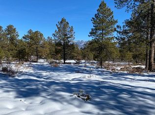 1219 Wheeler Pl, Pagosa Springs, CO 81147