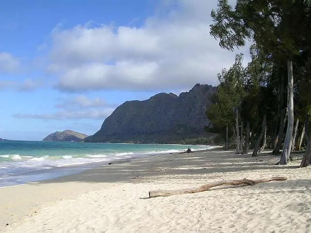 Ehukai Beach Voted # 1 in USA 10 minutes away!