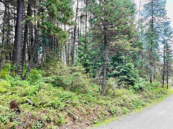 Eastshore Rd, Newport, WA 99156