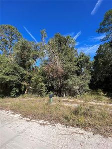204th St LOT 7, O'Brien, FL, 32071