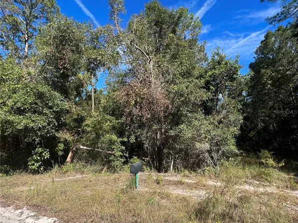 204th St Lot 7, O'Brien, FL 32071