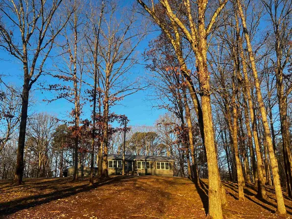 321 True Grit Ln, Royal, AR 71968