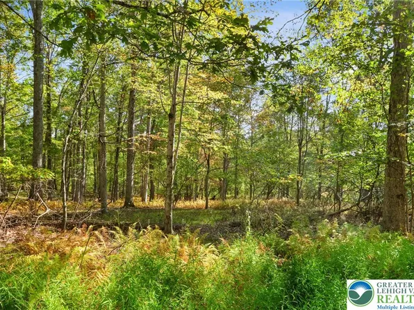 LOT 17 Spring Run Dr, Cresco, PA 18326