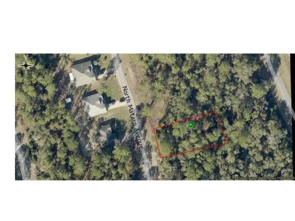 11059 N Mataro Avenue, Citrus Springs, FL 34434