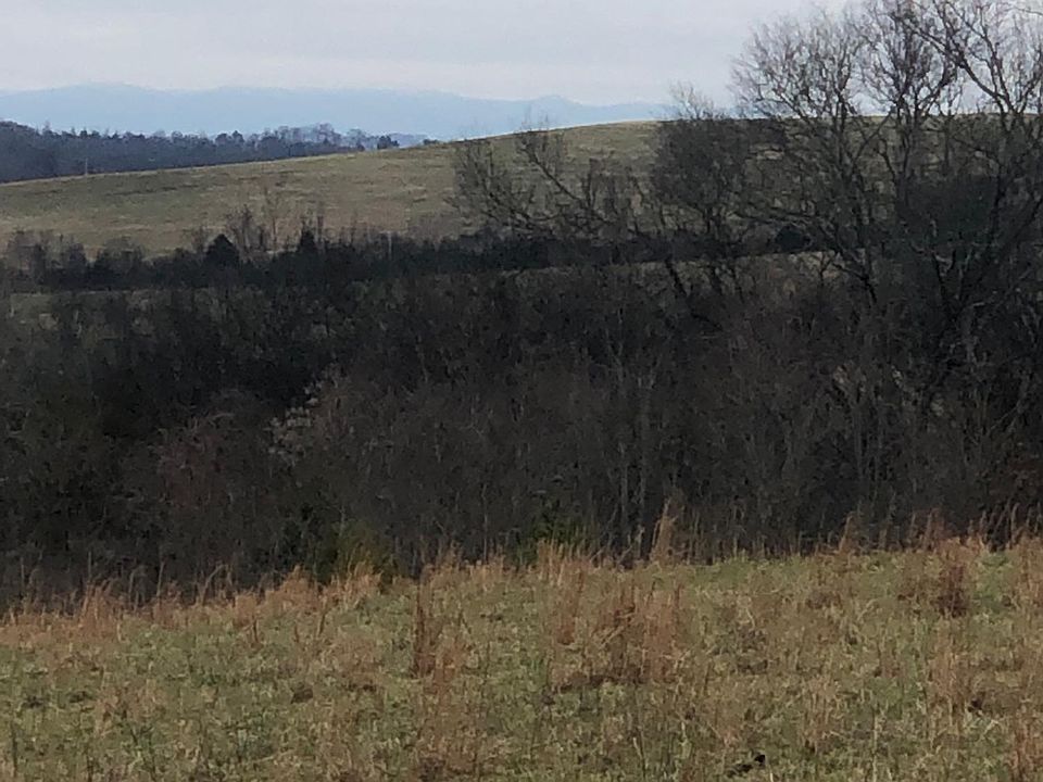 2nd image of 4200 Sunnyside Rd