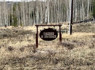 33505 Seneca Trl, Oak Creek, CO 80467
