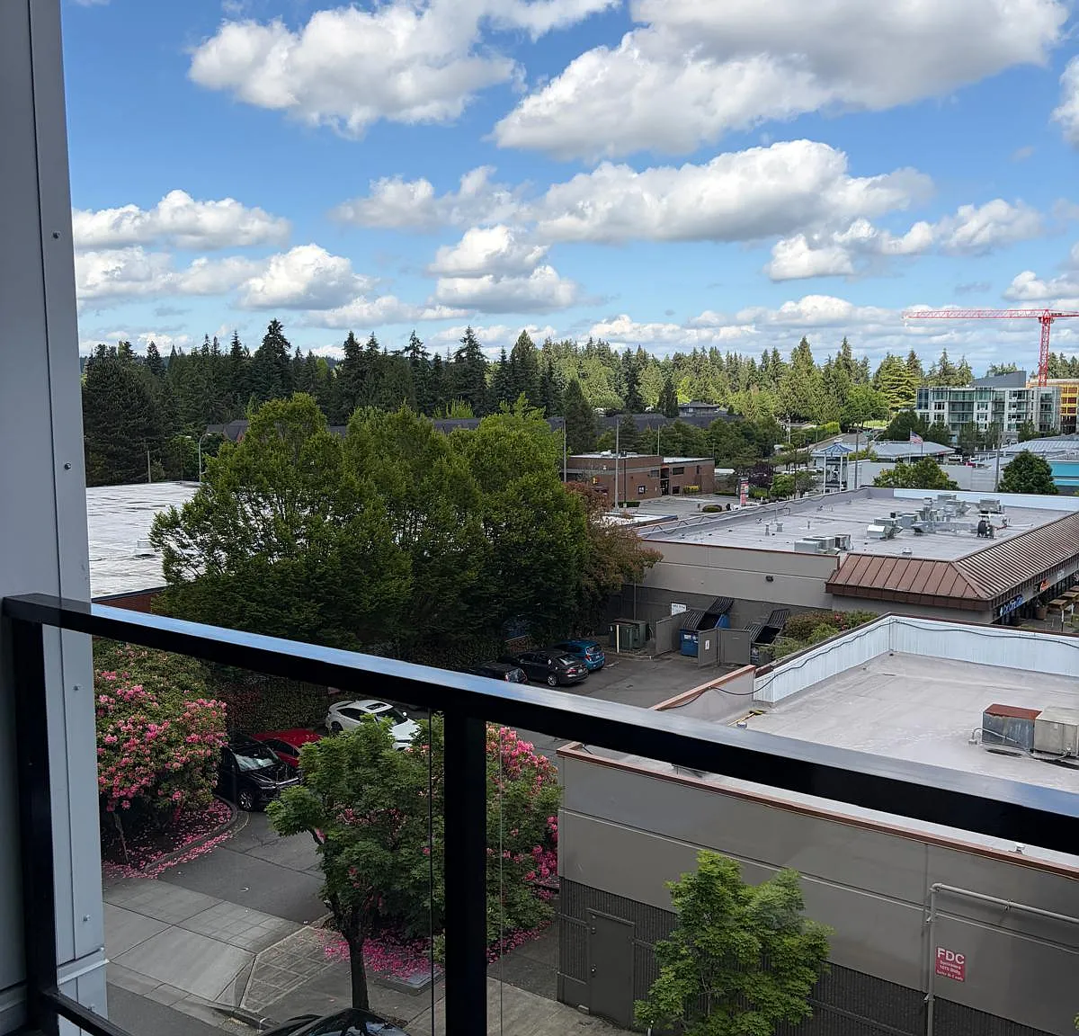 1 bed, 675 sqft, $2,550 — Photo 2