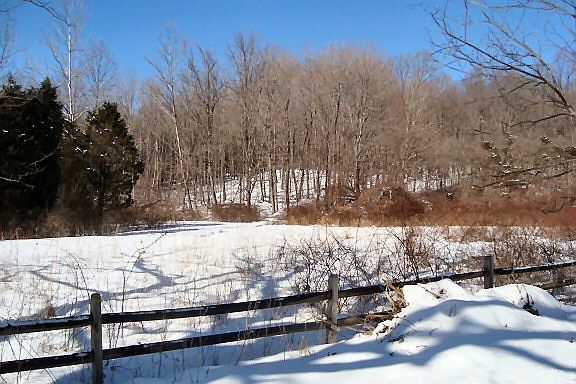 38 Hemlock Road 177 acres