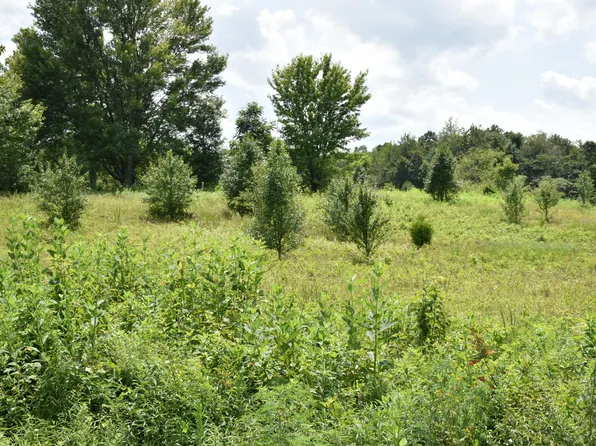 1505 New Home Rd, Trenton, GA 30752