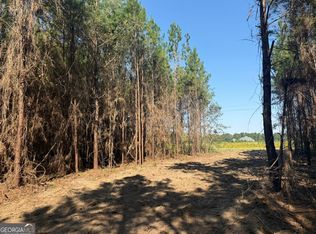 21 216th Hwy, Arlington, GA 39813