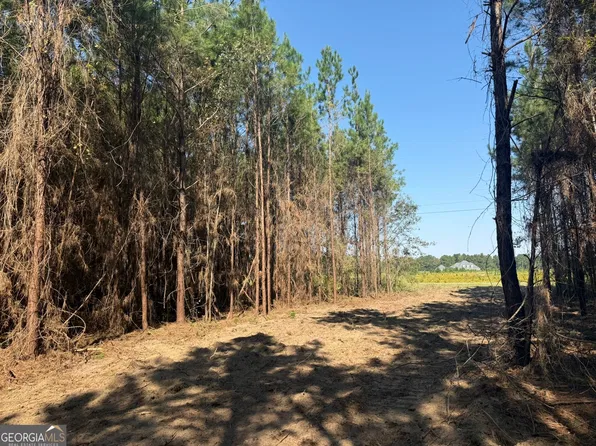 21 216th Hwy, Arlington, GA 39813