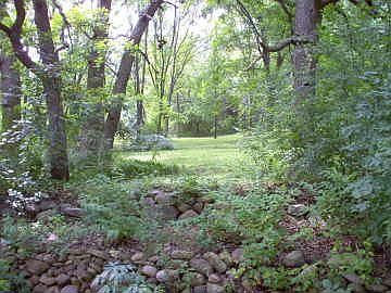 Escape to nature in your own back yard.