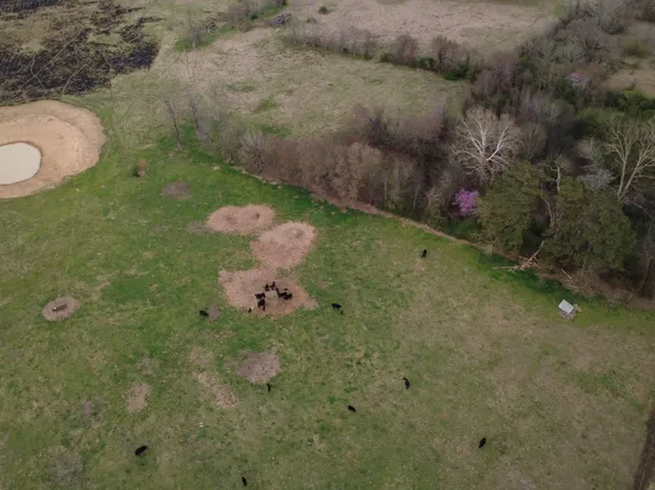 390 Greenfinch Rd, Millerton, OK 74750