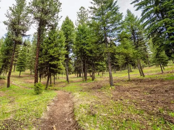 8 To Be Determined, McCall, ID 83638