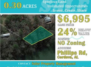 0 Phillips Rd #C, Cordova, AL 35550