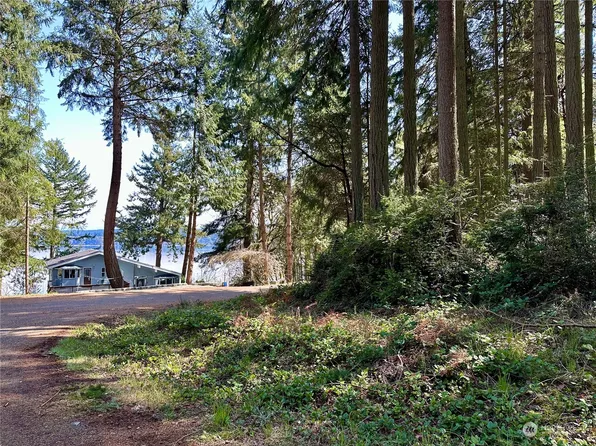 10126 Totem Way, Anderson Island, WA 98303