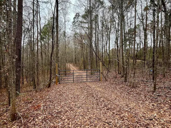 0 Jessie Ann Ln #1, Ashland, AL 36251