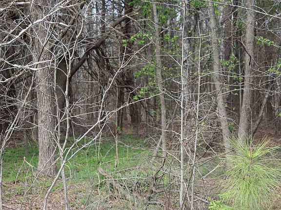 2nd image of 8 Windy Creek Cir Lot 8